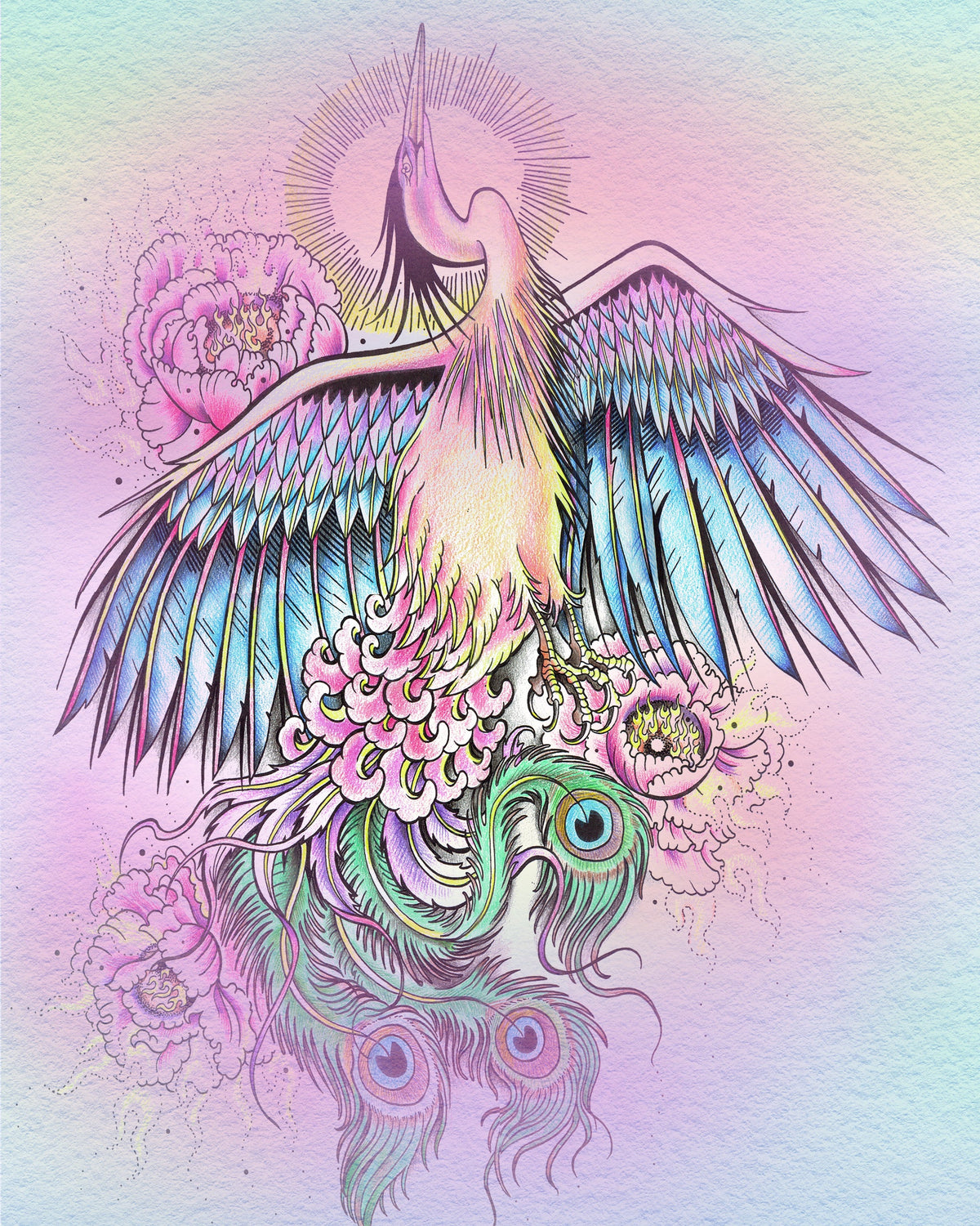 Illustrations