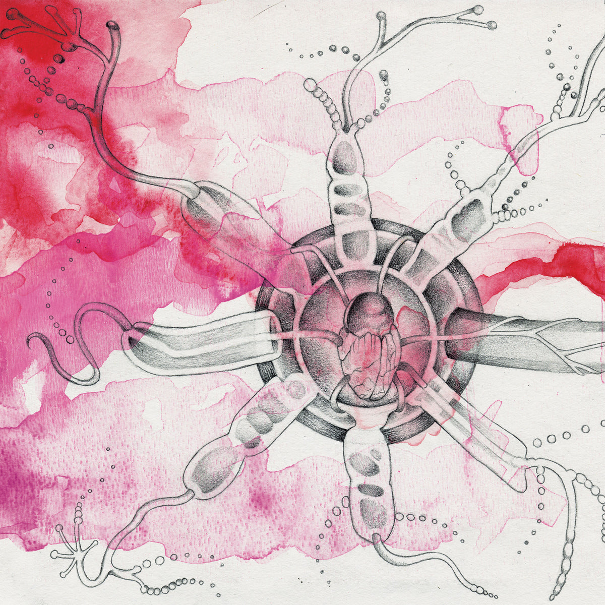 KB. "Hybrid Live Visuals" Pencil & Watercolor on Paper, 12" x 12". 2007