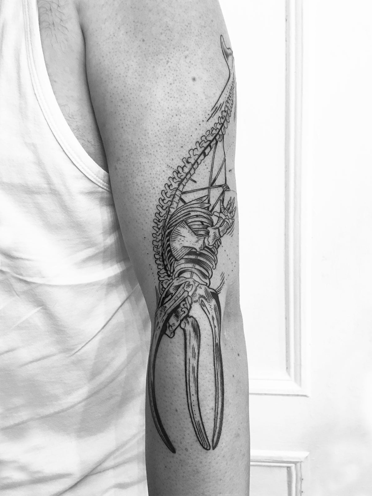 KB, "Blue Whale Skeleton", Ink in skin
5" x 15". 2017