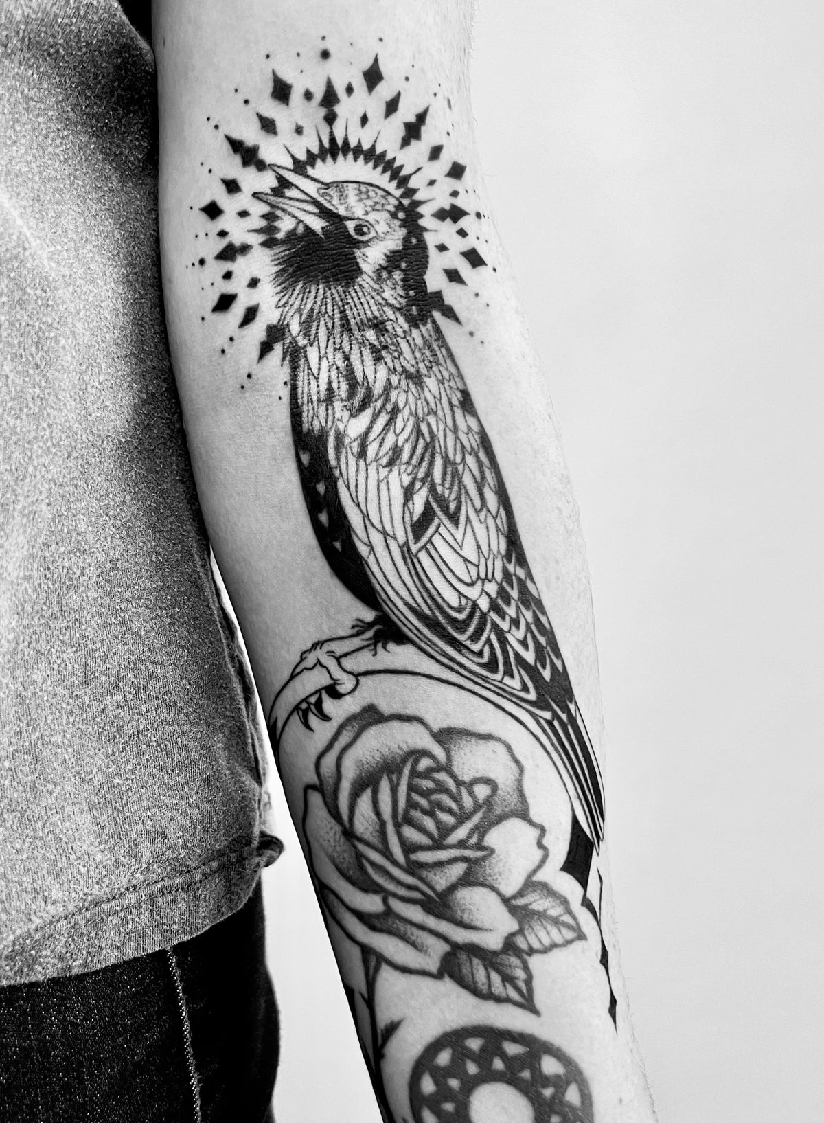 KB, "Starling", Ink in skin, 10" x 6". 2025
