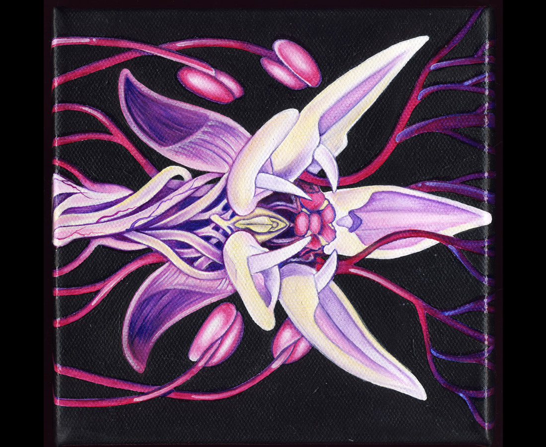 KB. ''Hybrid'' Oil on Canvas, 12" x 12". 2007