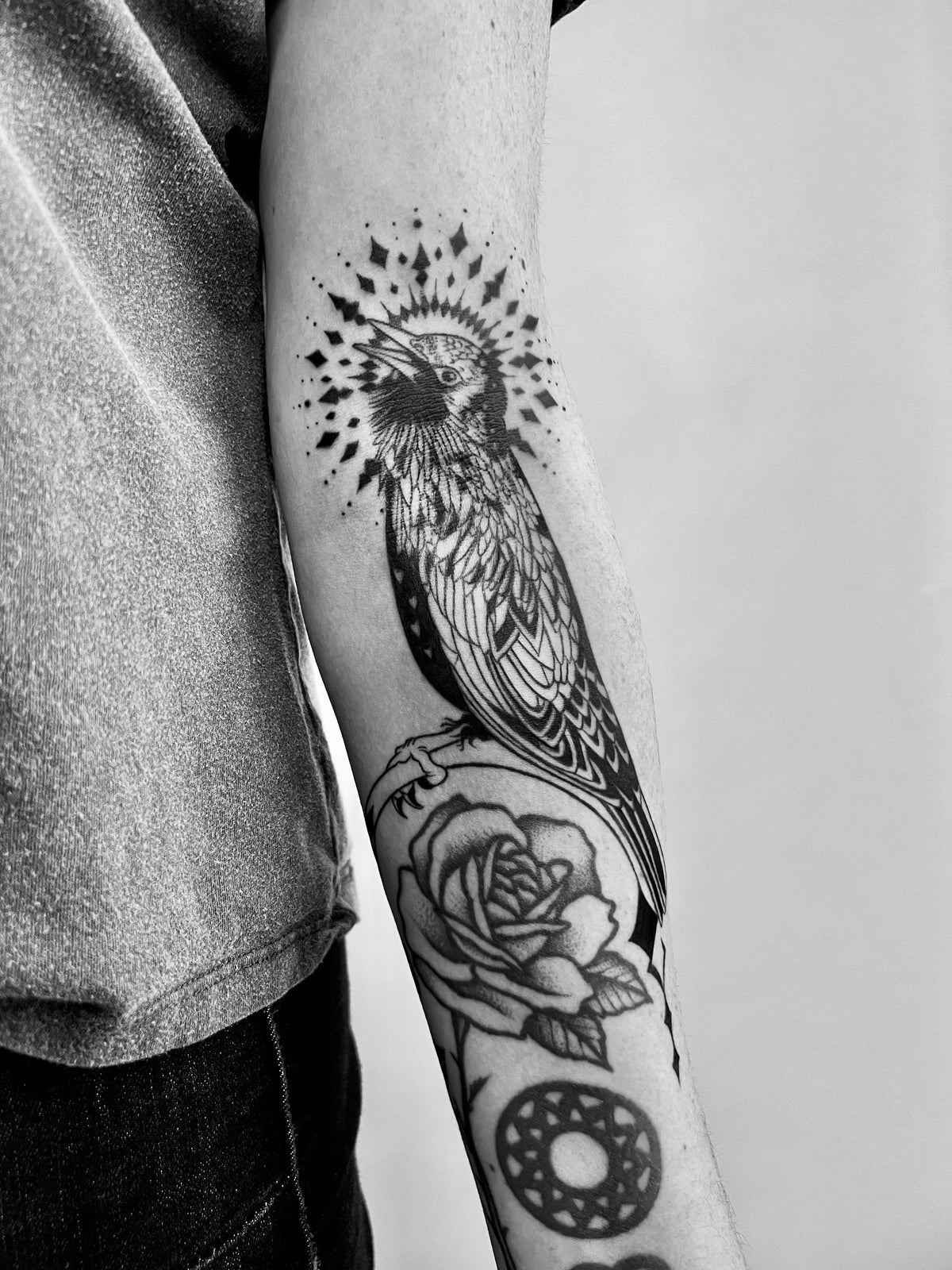 KB, "Starling", Ink in skin, 10" x 6". 2025