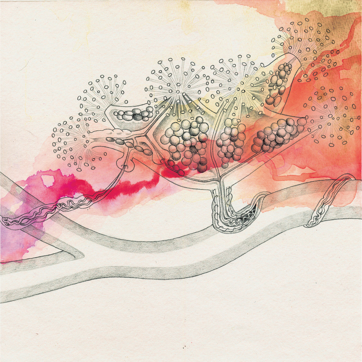 KB. "Hybrid Live Visuals" Pencil & Watercolor on Paper, 12" x 12". 2007