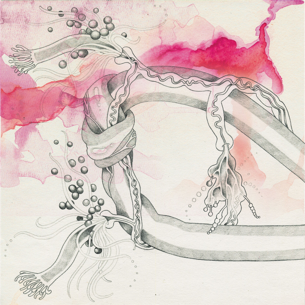 KB. "Hybrid Live Visuals" Pencil & Watercolor on Paper, 12" x 12". 2007