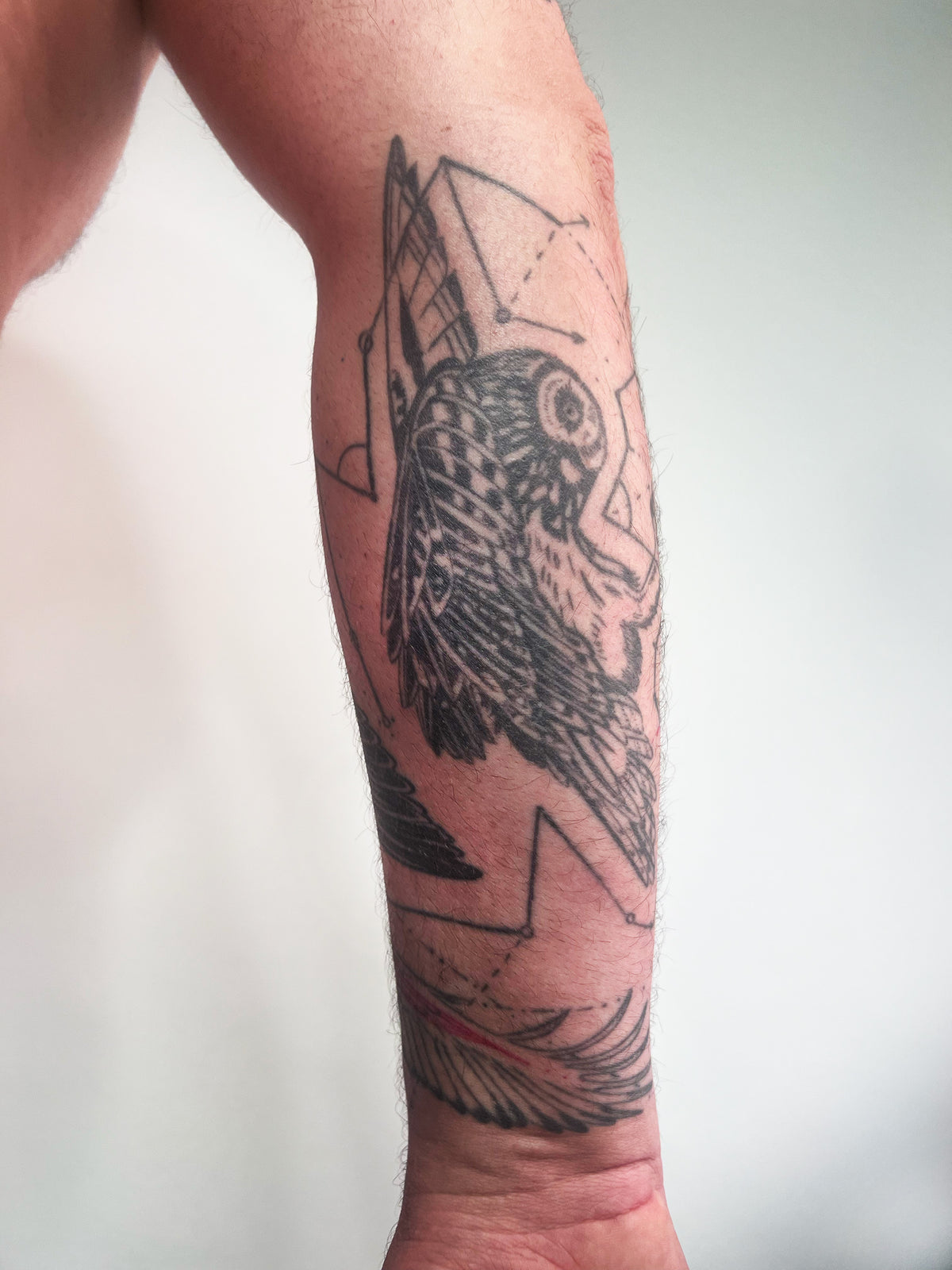 KB, "Birds of Prey Kinetic Flight Patterns", Ink in skin, 20" x 16", 2024.