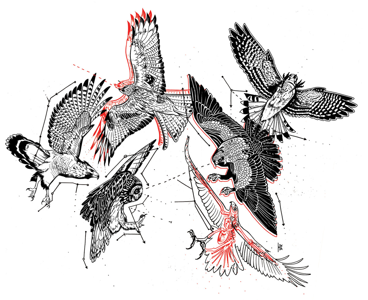 KB, "Birds of Prey Kinetic Flight Patterns", Digital Artwork, 20" x 16", 2017.