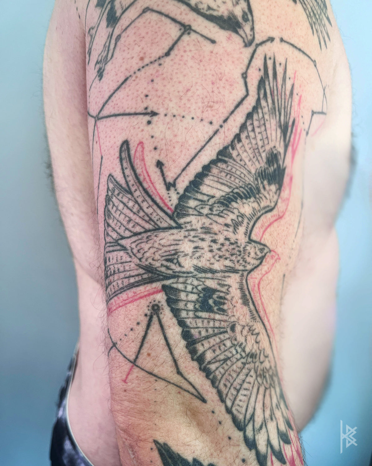 KB, "Birds of Prey Kinetic Flight Patterns", Ink in skin, 20" x 16", 2024.