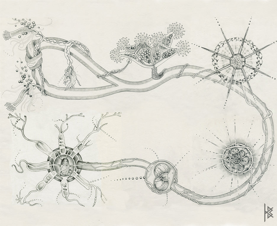 KB. "Hybrid Live Visuals" Pencil on Paper, 2' x 2', 2007.