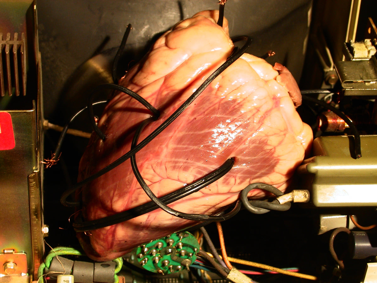 MTAF. ''Heart Technology'' Photograph, 8.5''x 11''. 2004