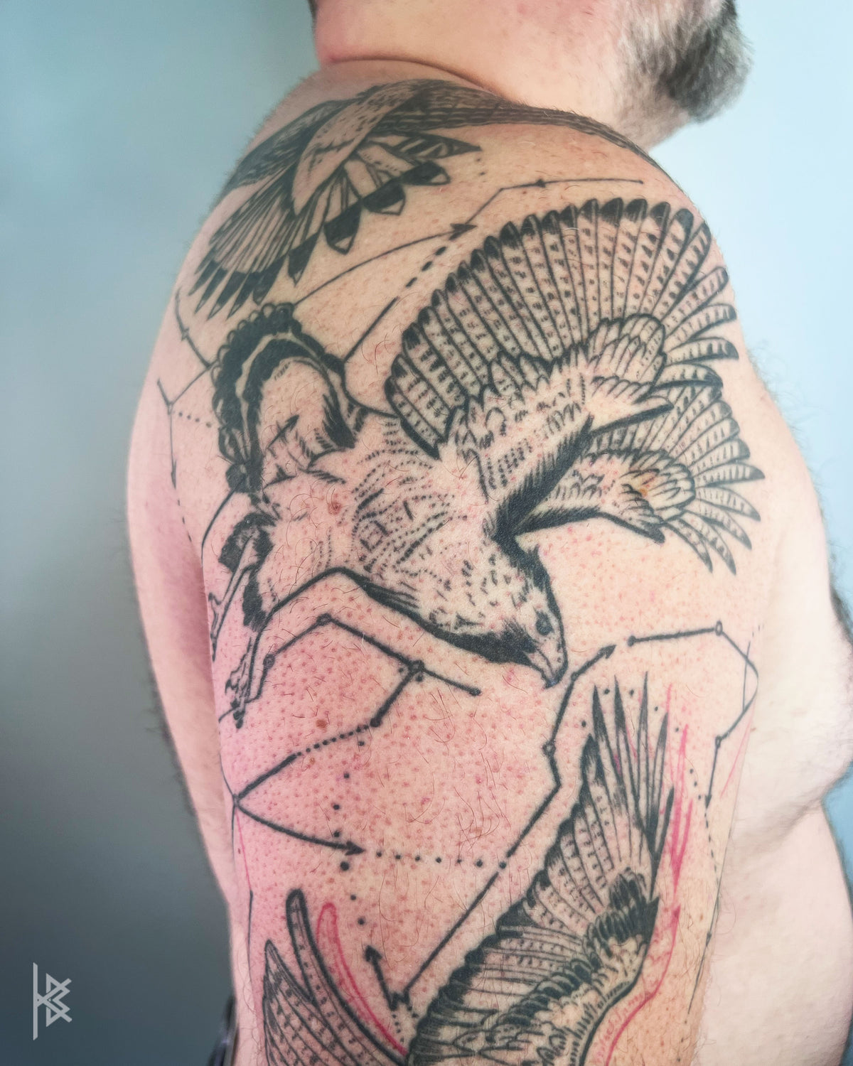 KB, "Birds of Prey Kinetic Flight Patterns", Ink in skin, 20" x 16", 2024.