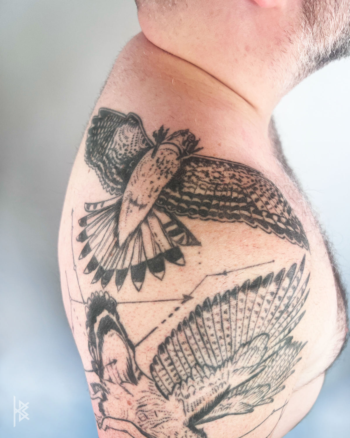 KB, "Birds of Prey Kinetic Flight Patterns", Ink in skin, 20" x 16", 2024.