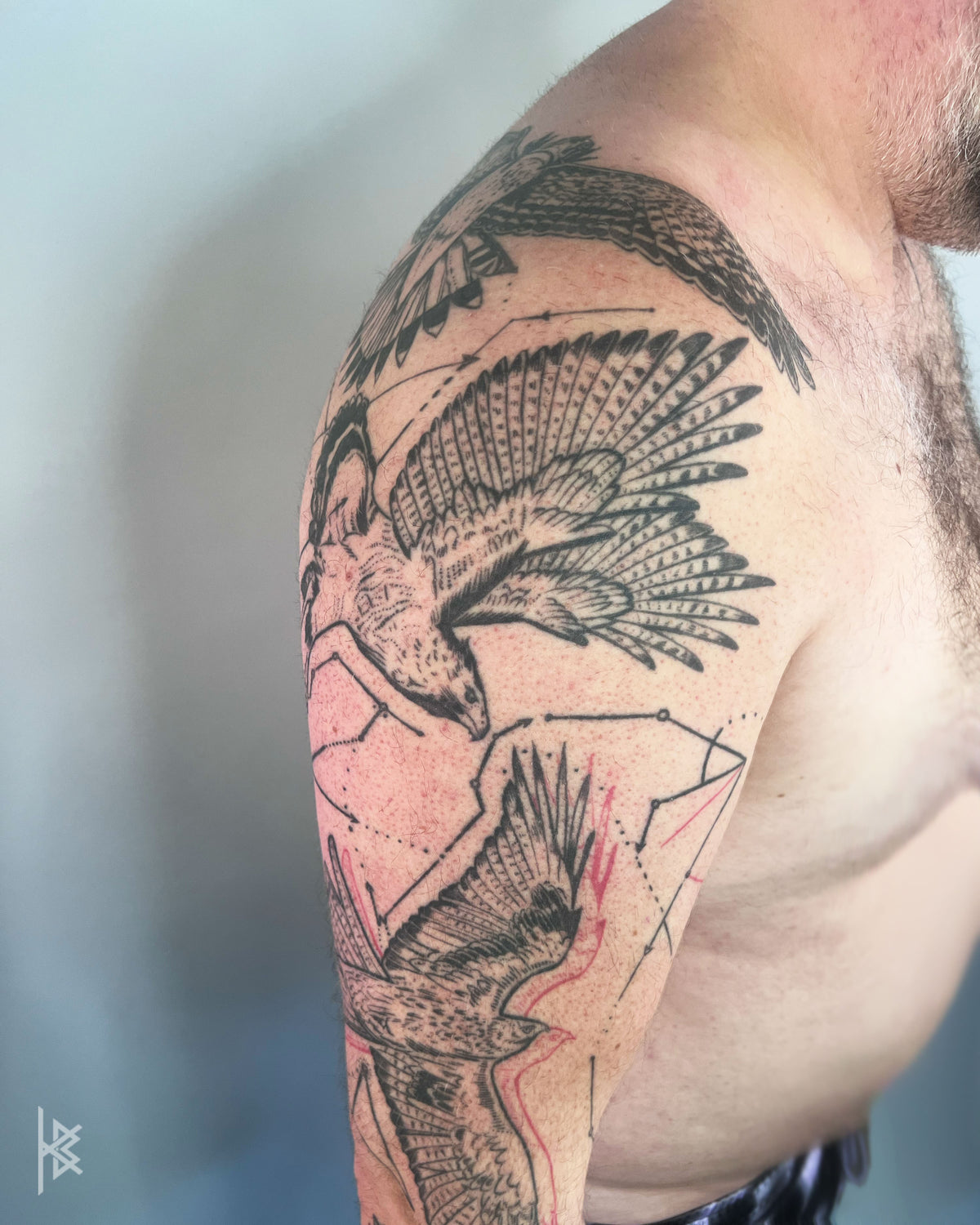 KB, "Birds of Prey Kinetic Flight Patterns", Ink in skin, 20" x 16", 2024.