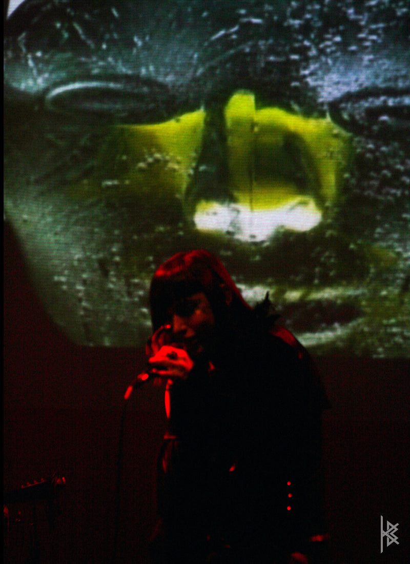 MTAF. "Paranoia Live Visuals", Jazz Festival, 2007.