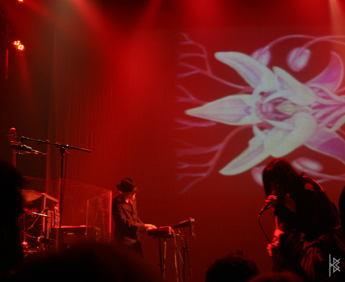 MTAF. "Hybrid Live Visuals", Jazz Festival, 2007.
