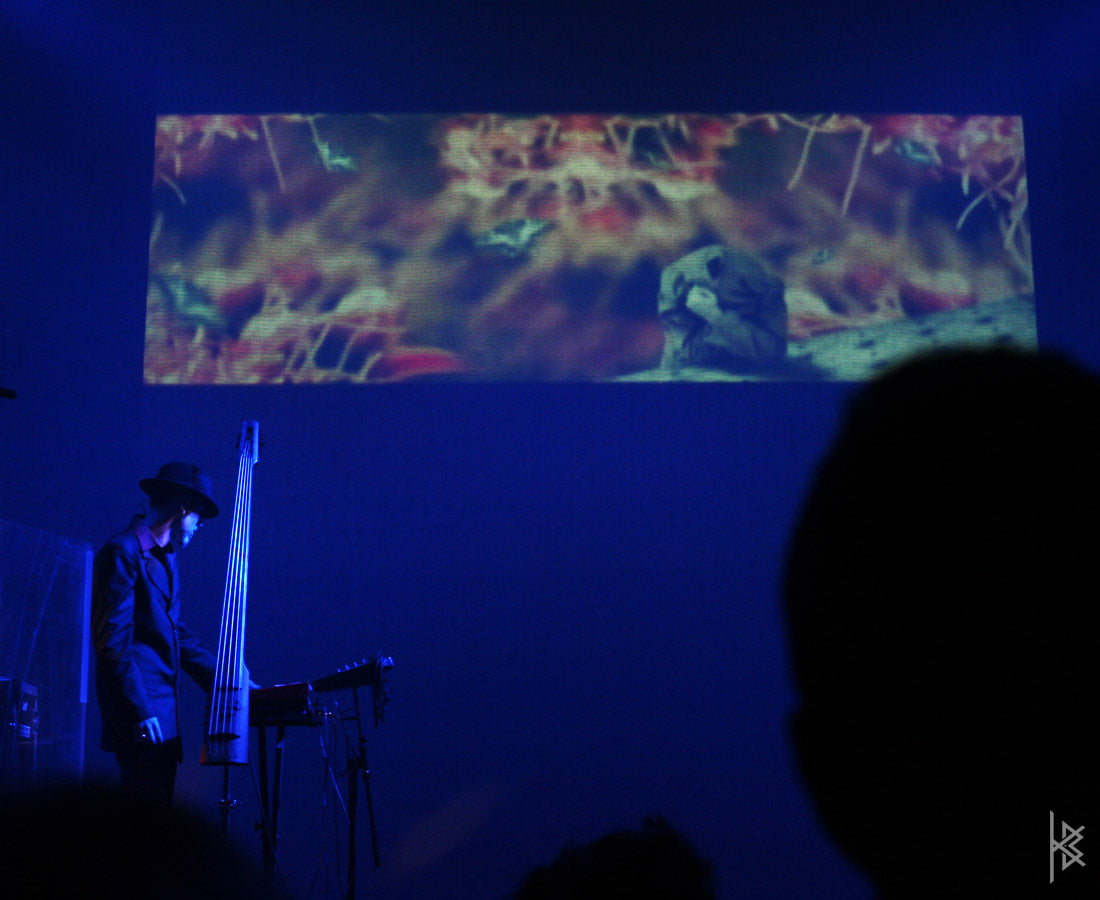 MTAF. "Hybrid Live Visuals", Jazz Festival. 2007