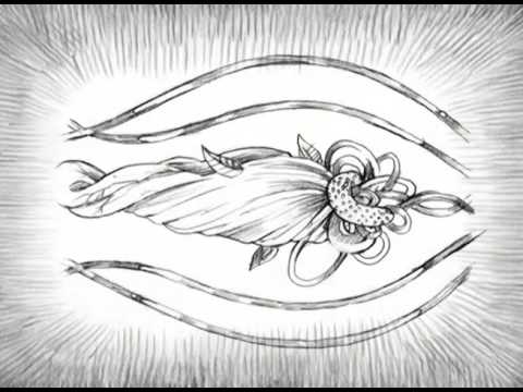 Hybrid Video for Live Performance: Featuring original Pencil Drawings and Oil Paintings, in editing collaboration with Fred Casia, 2007.